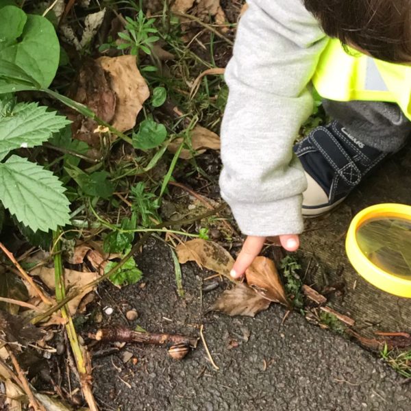 Child pointing at a snail