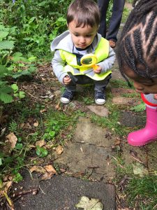 Children with magnifying glass looking at bugs